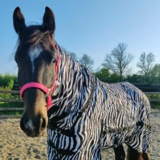 Horka Vliegendeken met Hals Zebra