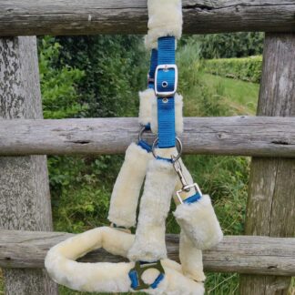 Bonthalster Turqouise COB