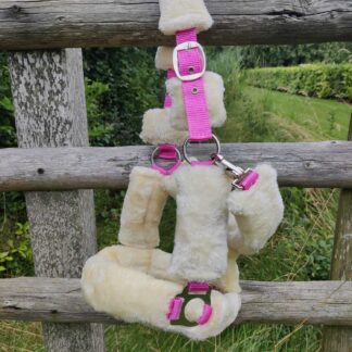 Bonthalster Pink PONY